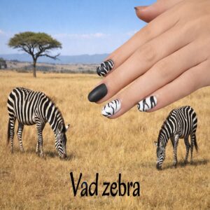 Vad zebra - körömlakk matrica